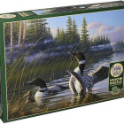 Puzzle - Cobble Hill - Anatre selvatiche